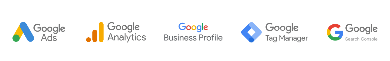 Google Certified Specialist